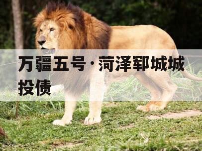 万疆五号·菏泽郓城城投债