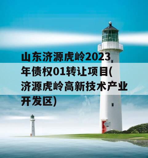 山东济源虎岭2023年债权01转让项目(济源虎岭高新技术产业开发区)