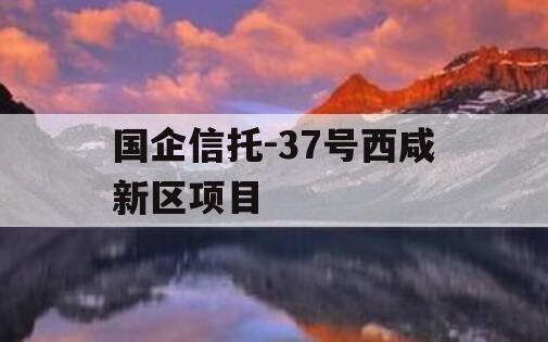国企信托-37号西咸新区项目