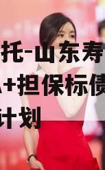 XX信托-山东寿光券内AA+担保标债集合信托计划
