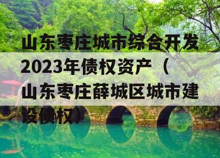 山东枣庄城市综合开发2023年债权资产（山东枣庄薛城区城市建设债权）