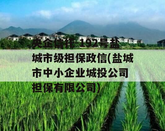 央企信托-192号盐城市级担保政信(盐城市中小企业城投公司
担保有限公司)