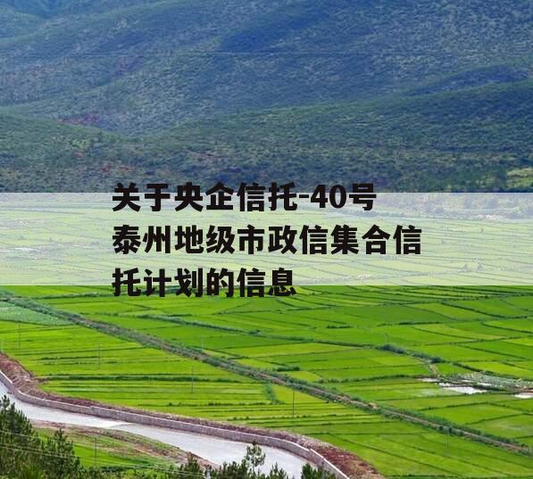 关于央企信托-40号泰州地级市政信集合信托计划的信息
