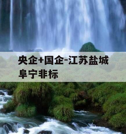 央企+国企-江苏盐城阜宁非标