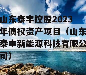山东泰丰控股2023年债权资产项目（山东泰丰新能源科技有限公司）