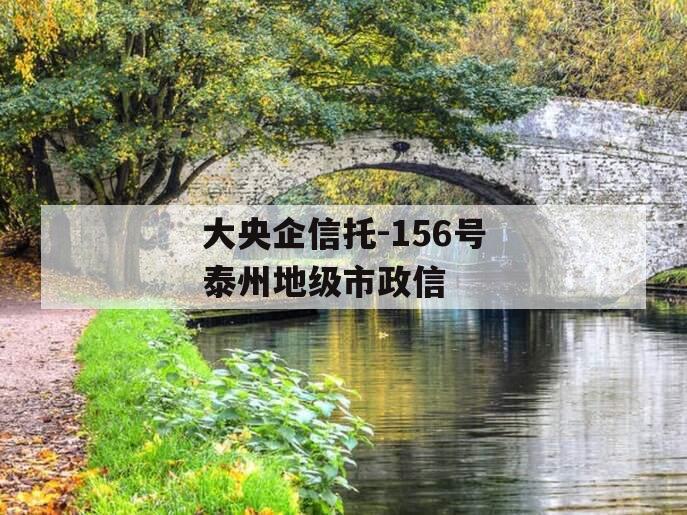 大央企信托-156号泰州地级市政信