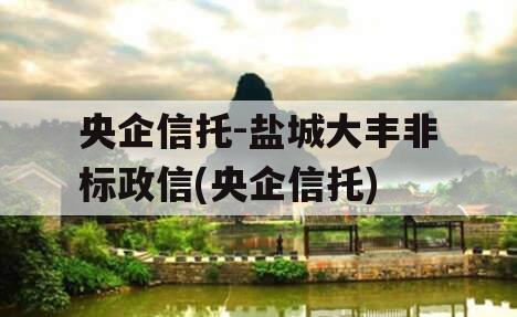 央企信托-盐城大丰非标政信(央企信托)