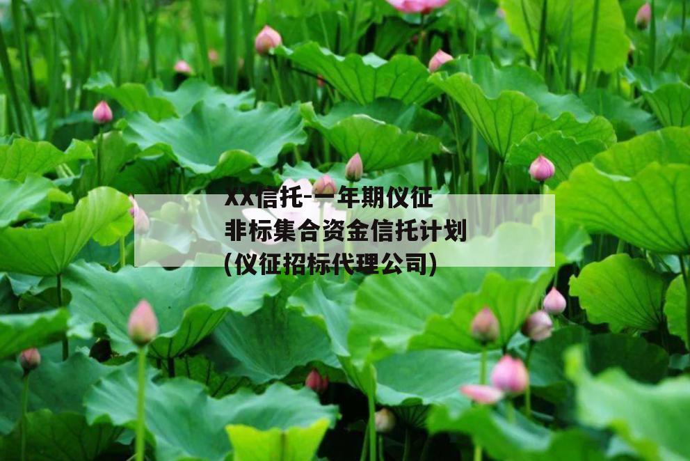 XX信托-一年期仪征非标集合资金信托计划(仪征招标代理公司)