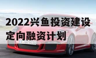 2022兴鱼投资建设定向融资计划