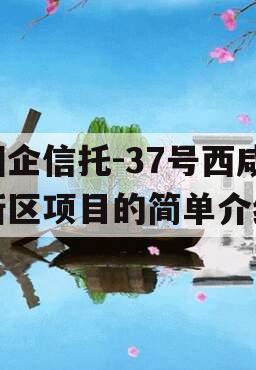 国企信托-37号西咸新区项目的简单介绍
