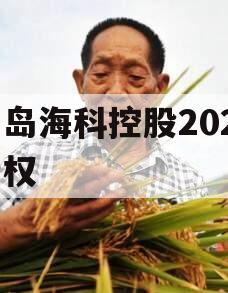 青岛海科控股2023债权