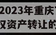 包含2023年重庆TN债权资产转让的词条