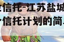 央企信托-江苏盐城市集合信托计划的简单介绍
