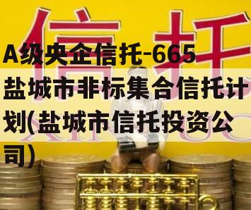 A级央企信托-665盐城市非标集合信托计划(盐城市信托投资公司)