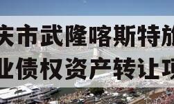 重庆市武隆喀斯特旅游产业债权资产转让项目