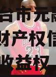 山东烟台市元融投资2023年财产权信托受益权之收益权
