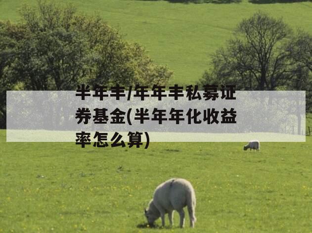 半年丰/年年丰私募证券基金(半年年化收益率怎么算)
