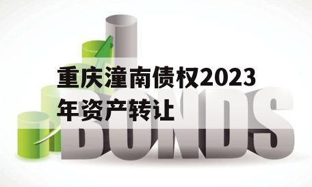重庆潼南债权2023年资产转让