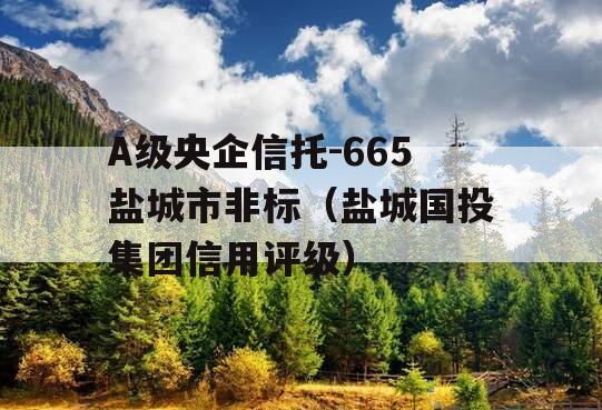 A级央企信托-665盐城市非标（盐城国投集团信用评级）