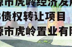 济源市虎岭经济发展2023债权转让项目（济源市虎岭置业有限公司）