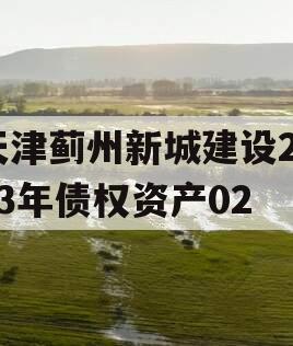 天津蓟州新城建设2023年债权资产02