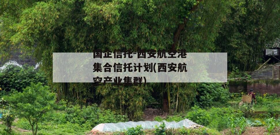 国企信托-西安航空港集合信托计划(西安航空产业集群)
