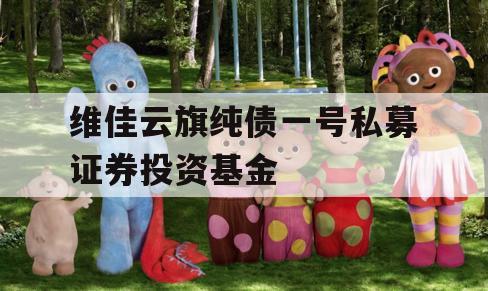 维佳云旗纯债一号私募证券投资基金