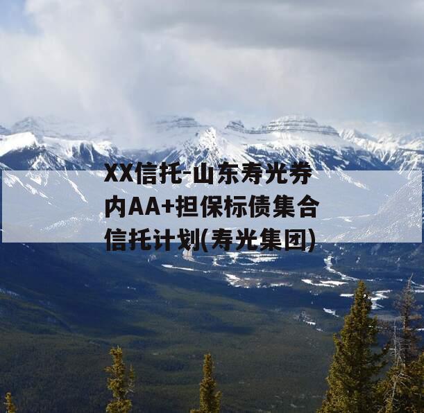 XX信托-山东寿光券内AA+担保标债集合信托计划(寿光集团)