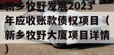 新乡牧野发展2023年应收账款债权项目（新乡牧野大厦项目详情）