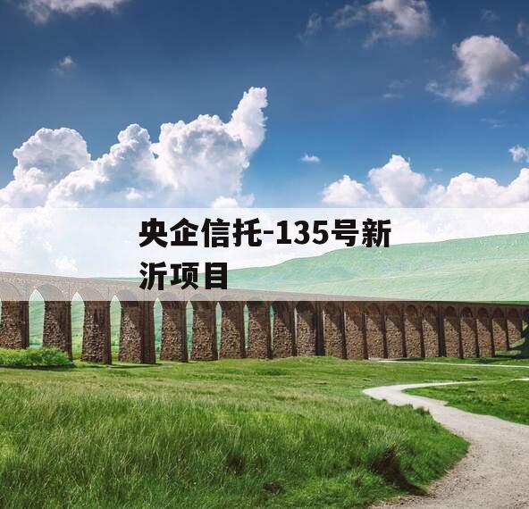 央企信托-135号新沂项目