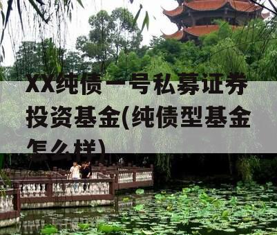 XX纯债一号私募证券投资基金(纯债型基金怎么样)