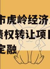 济源市虎岭经济发展2023债权转让项目政府债定融