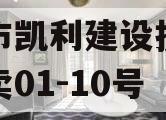 资阳市凯利建设投资债权拍卖01-10号