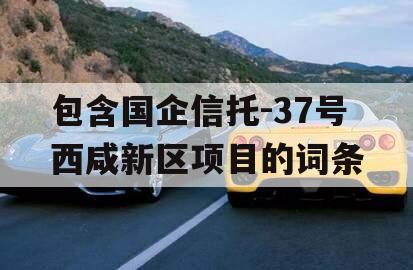 包含国企信托-37号西咸新区项目的词条