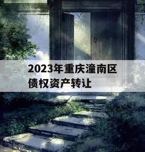2023年重庆潼南区债权资产转让