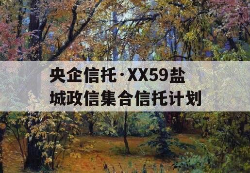 央企信托·XX59盐城政信集合信托计划