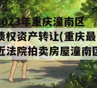2023年重庆潼南区债权资产转让(重庆最近法院拍卖房屋潼南区)