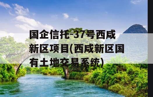 国企信托-37号西咸新区项目(西咸新区国有土地交易系统)