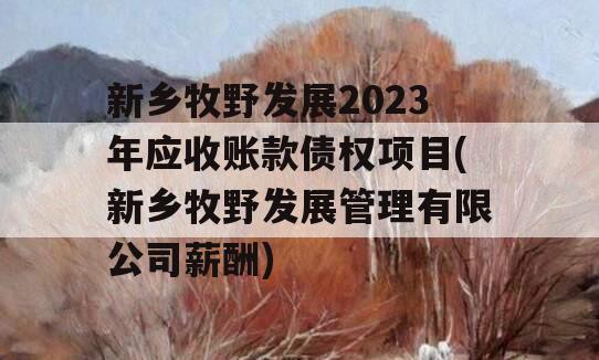 新乡牧野发展2023年应收账款债权项目(新乡牧野发展管理有限公司薪酬)