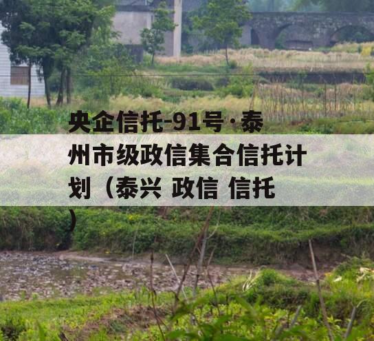 央企信托-91号·泰州市级政信集合信托计划（泰兴 政信 信托）