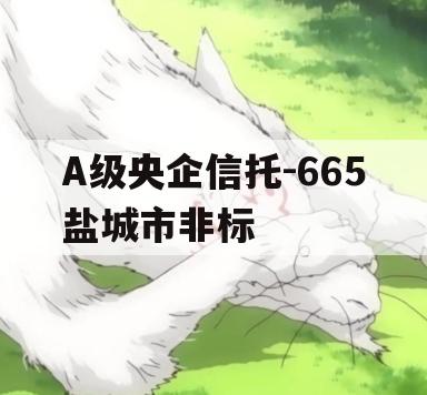 A级央企信托-665盐城市非标