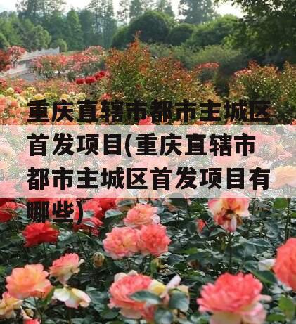 重庆直辖市都市主城区首发项目(重庆直辖市都市主城区首发项目有哪些)