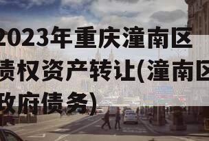 2023年重庆潼南区债权资产转让(潼南区政府债务)