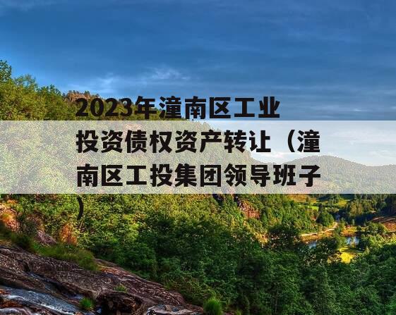 2023年潼南区工业投资债权资产转让（潼南区工投集团领导班子）