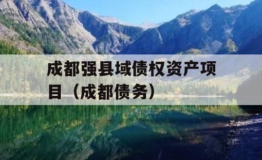 成都强县域债权资产项目（成都债务）
