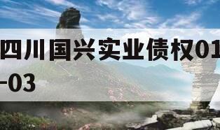 四川国兴实业债权01-03