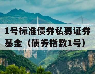 1号标准债券私募证券基金（债券指数1号）