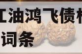 包含江油鸿飞债权拍卖1号的词条