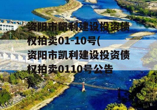 资阳市凯利建设投资债权拍卖01-10号(资阳市凯利建设投资债权拍卖0110号公告)