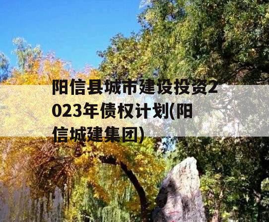 阳信县城市建设投资2023年债权计划(阳信城建集团)